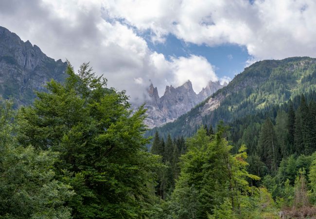 Ferienwohnung in Falcade - Ciasa Molino 306 Ferienwohnung in Falcade - Ciasa Molino 306