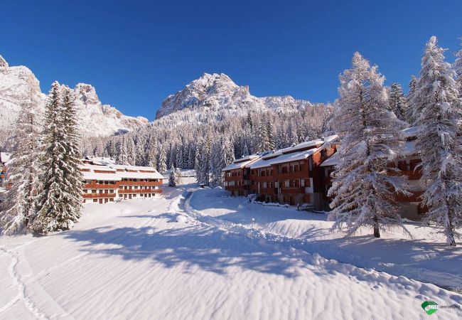 Studio in Selva di Cadore - Petit Arnica Studio in Selva di Cadore - Petit Arnica