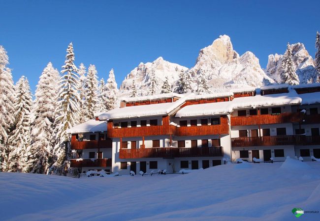 Studio in Selva di Cadore - Petit Arnica Studio in Selva di Cadore - Petit Arnica