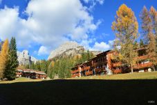 Studio in Selva di Cadore - Petit Arnica