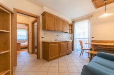 Ferienwohnung in Falcade - Appartamenti Villa Elisa 8A