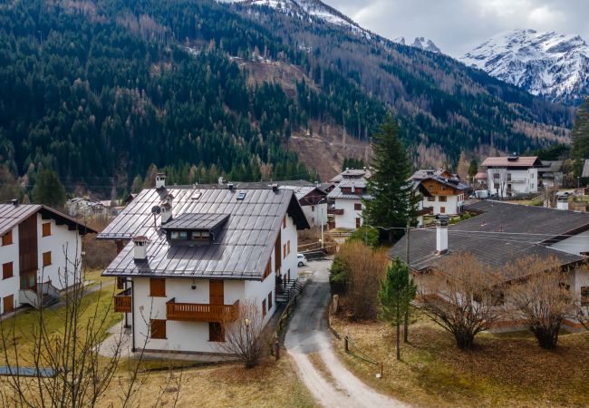Ferienwohnung in Falcade - Alpe Verde Ferienwohnung in Falcade - Alpe Verde