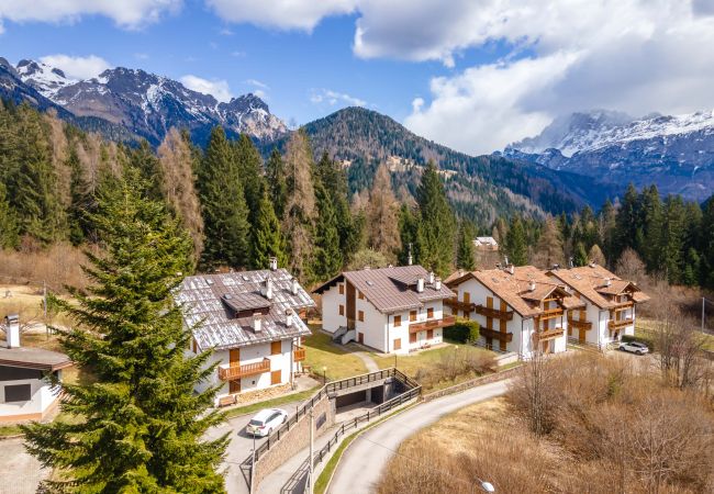 Ferienwohnung in Falcade - Alpe Verde Ferienwohnung in Falcade - Alpe Verde