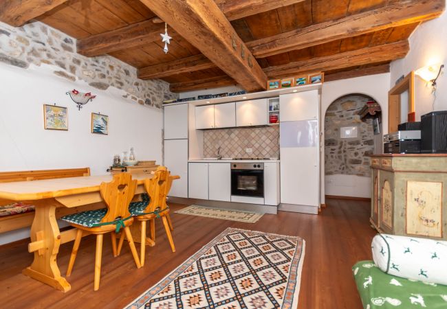 Ferienwohnung in Vigo di Fassa - Casa Tamion