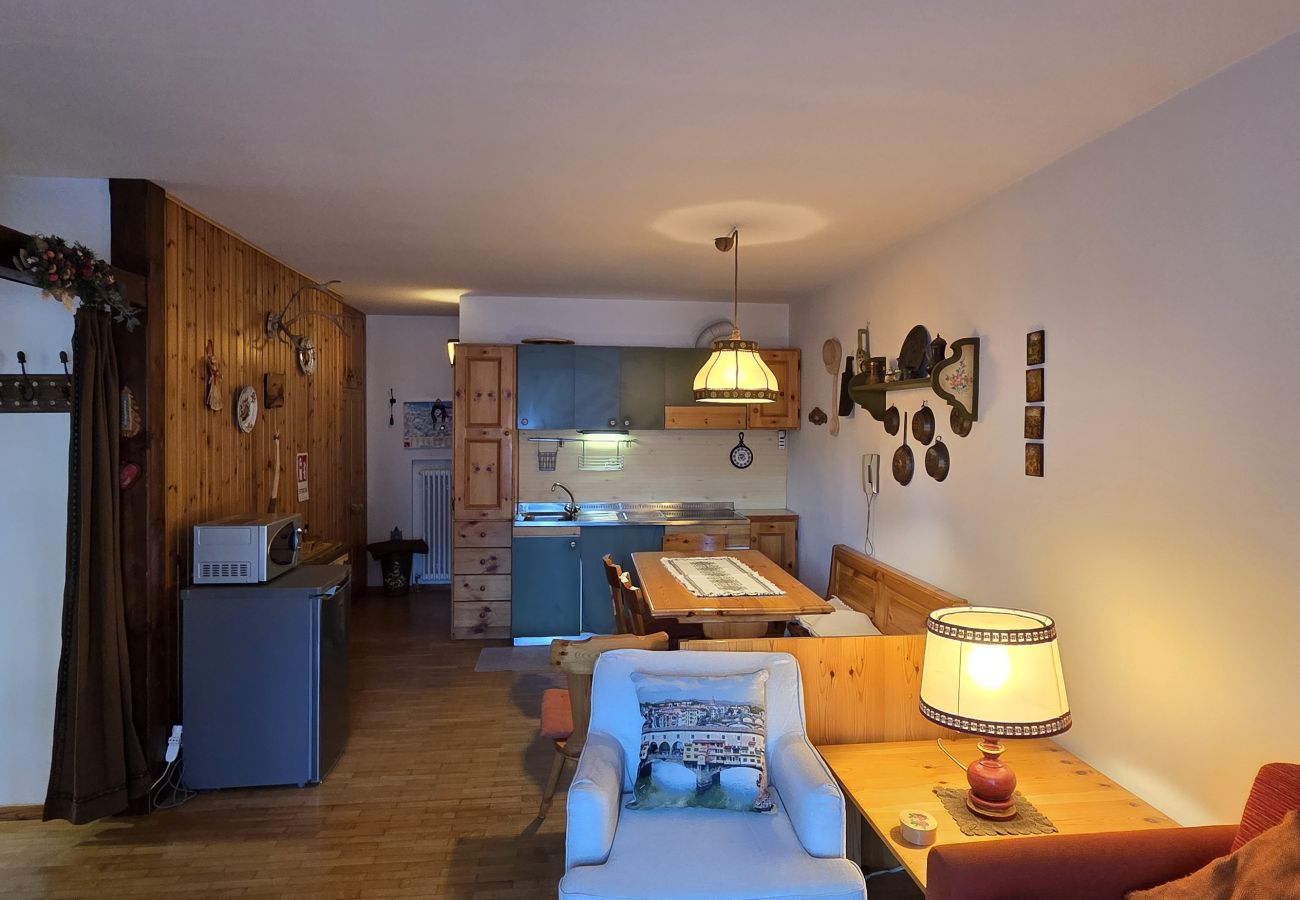 Ferienwohnung in Pozza di Fassa - Casa Vaiolet