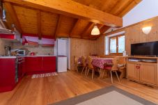 Ferienwohnung in Selva di Cadore - El Feral - Mansarda