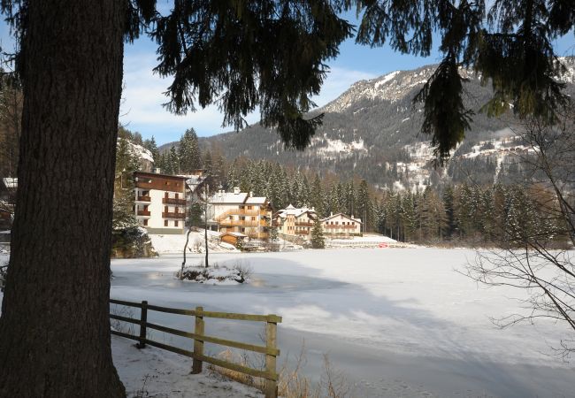 Apartment in Alleghe - Villa Edelweiss Genziana Apartment in Alleghe - Villa Edelweiss Genziana