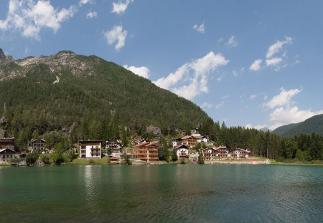 Apartment in Alleghe - Villa Edelweiss Genziana Apartment in Alleghe - Villa Edelweiss Genziana