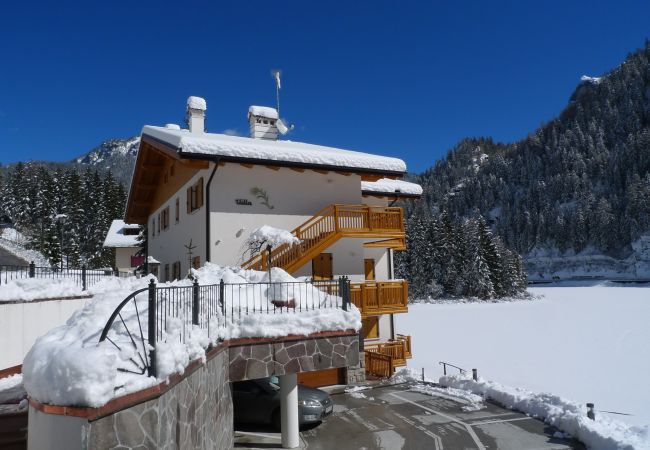 Apartment in Alleghe - Villa Edelweiss Genziana Apartment in Alleghe - Villa Edelweiss Genziana