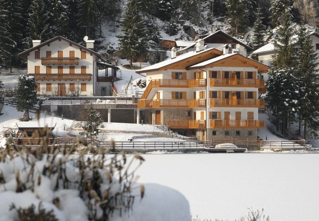 Apartment in Alleghe - Villa Edelweiss Campanula Apartment in Alleghe - Villa Edelweiss Campanula