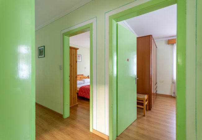 Apartment in Falcade - Casa Iris 1 Apartment in Falcade - Casa Iris 1