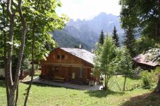 Apartment in Alleghe - Tabià su'n Coi