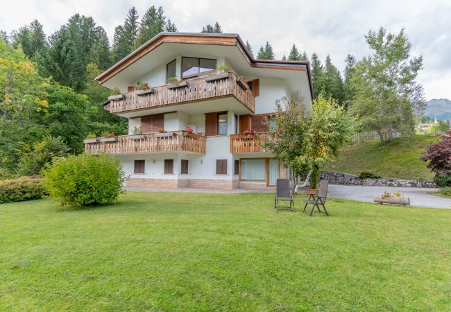 Apartment in Falcade - Villa Licia trilo Apartment in Falcade - Villa Licia trilo