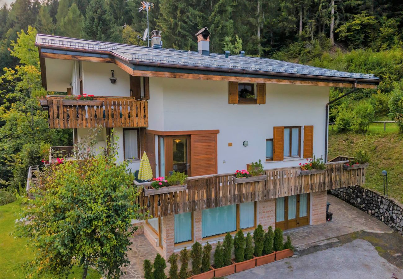 Apartment in Falcade - Villa Licia trilo Apartment in Falcade - Villa Licia trilo