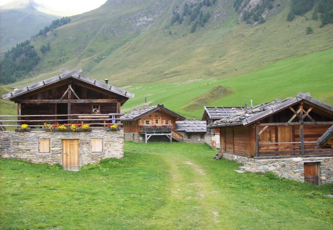 Apartment in Rocca Pietore - Principe Marmolada 464/A Apartment in Rocca Pietore - Principe Marmolada 464/A