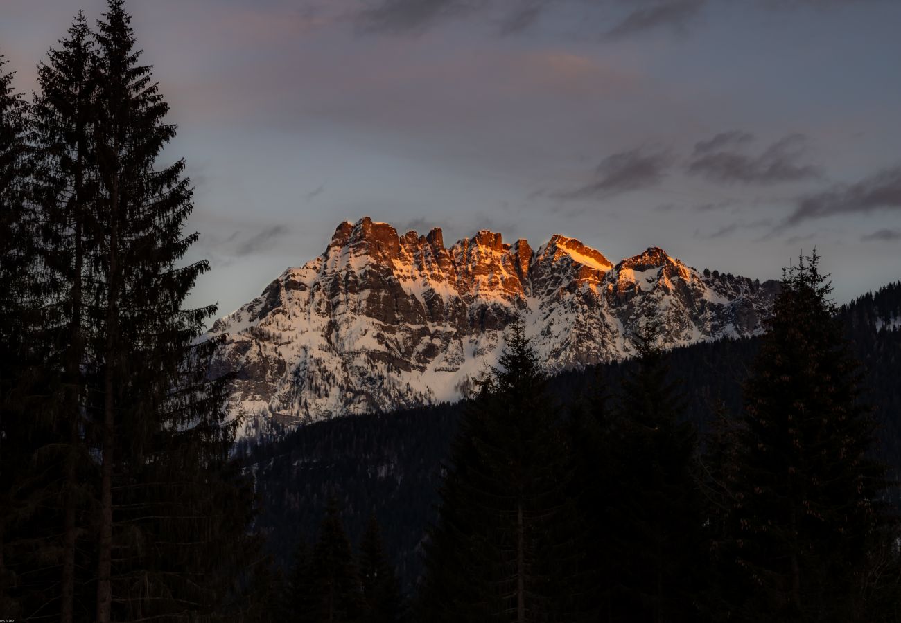 Apartment in Falcade - Casa Lisa Apartment in Falcade - Casa Lisa