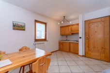 Studio in Falcade - Casa Stella 5