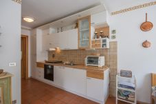 Apartment in Falcade - An der Sonne