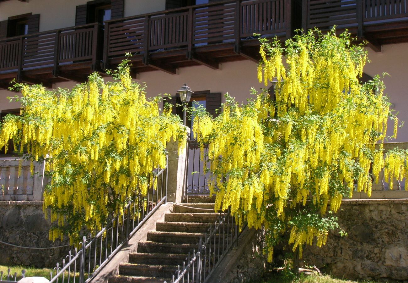 Apartment in Alleghe - Regina 2 Apartment in Alleghe - Regina 2