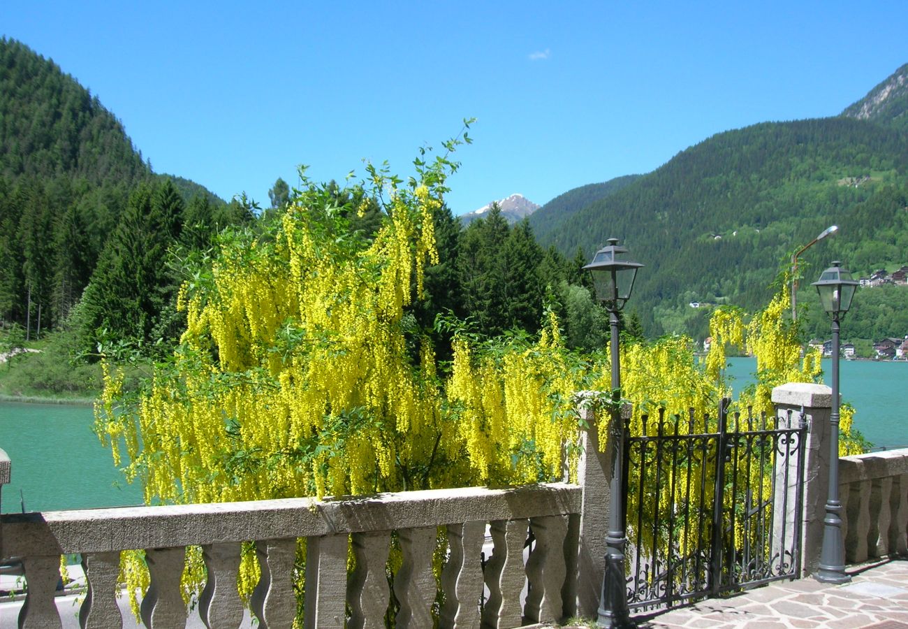 Apartment in Alleghe - Regina 4 Apartment in Alleghe - Regina 4