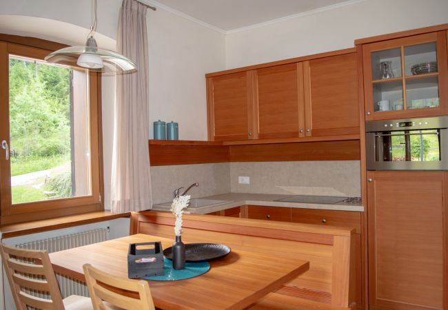 Apartment in Alleghe - Regina 3