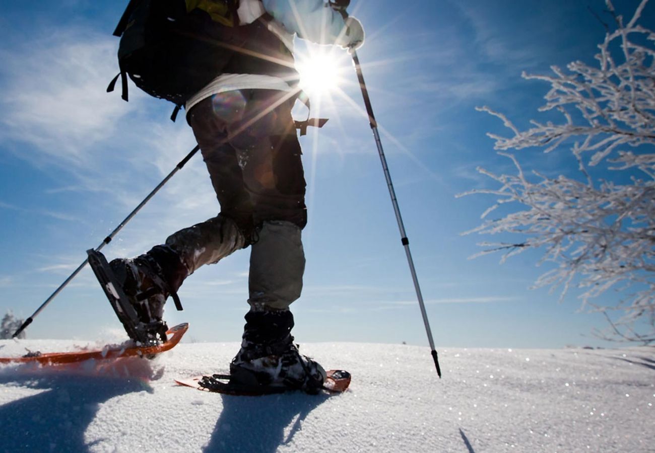 Apartment in Alleghe - Regina 15 Apartment in Alleghe - Regina 15