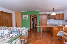 Apartment in Colle Santa Lucia - Maison Varazza