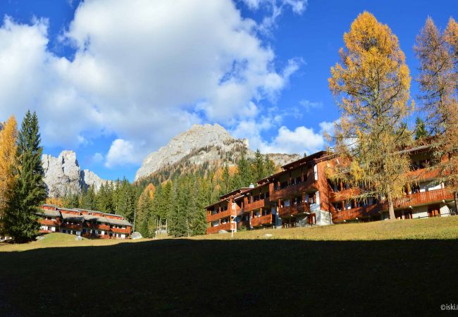 Studio in Selva di Cadore - Petit Arnica Studio in Selva di Cadore - Petit Arnica