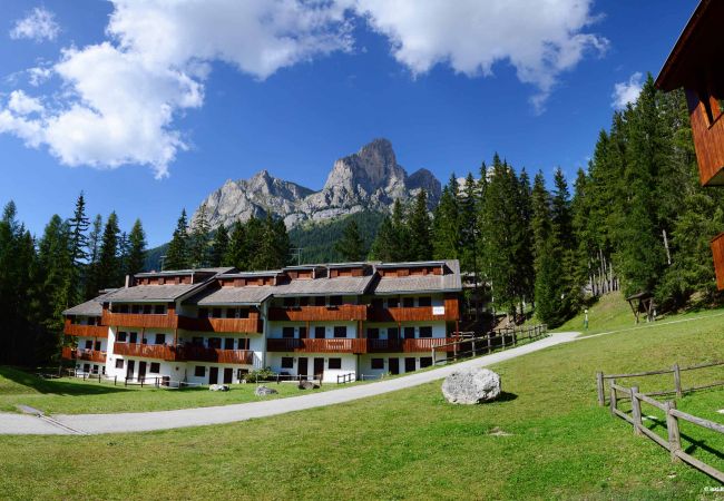 Studio in Selva di Cadore - Petit Arnica Studio in Selva di Cadore - Petit Arnica