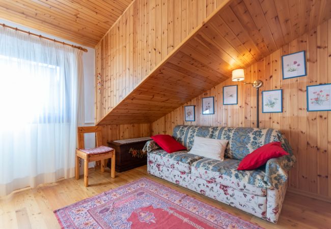 Studio in Selva di Cadore - Petit Arnica Studio in Selva di Cadore - Petit Arnica