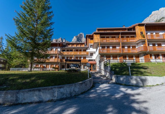 Studio in Selva di Cadore - Petit Arnica Studio in Selva di Cadore - Petit Arnica
