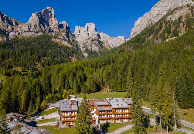 Studio in Selva di Cadore - Petit Arnica Studio in Selva di Cadore - Petit Arnica