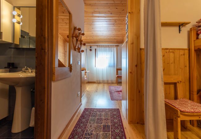 Studio in Selva di Cadore - Petit Arnica Studio in Selva di Cadore - Petit Arnica