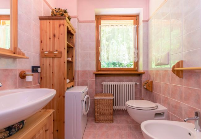 Apartment in Falcade - Condominio Orsa Maggiore 12 Apartment in Falcade - Condominio Orsa Maggiore 12