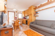 Apartment in Livinallongo del Col di Lana - Cima 11