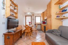 Apartment in Livinallongo del Col di Lana - Cima 11