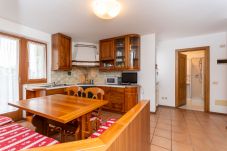 Apartment in Falcade - Casa Alice