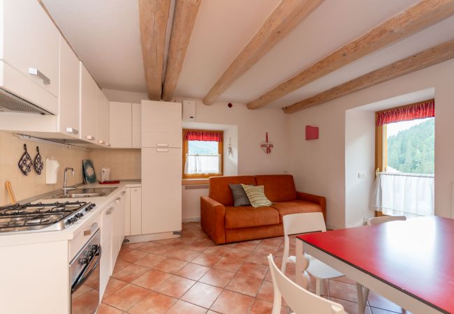Apartment in Falcade - Casa Alessandra 1 Apartment in Falcade - Casa Alessandra 1