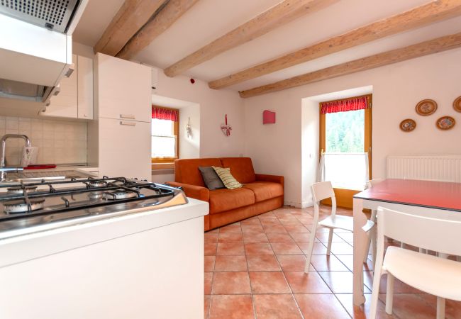 Apartment in Falcade - Casa Alessandra 1 Apartment in Falcade - Casa Alessandra 1