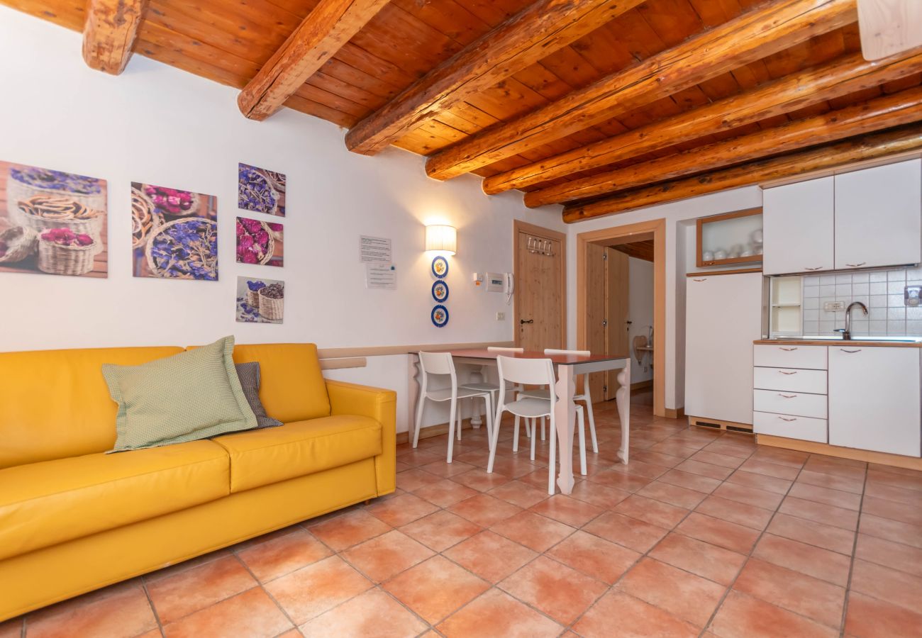 Apartment in Falcade - Casa Alessandra 6
