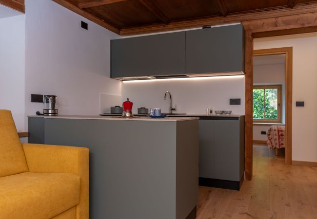 Apartment in Falcade - Casa Molino La Stua Apartment in Falcade - Casa Molino La Stua