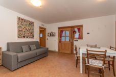 Studio in San Tomaso Agordino - Tabià delle Rose
