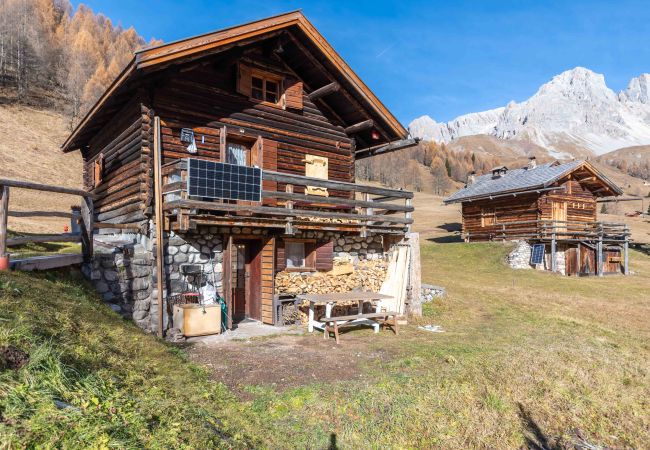Cabin in Falcade - Baita Lodge Valfreda